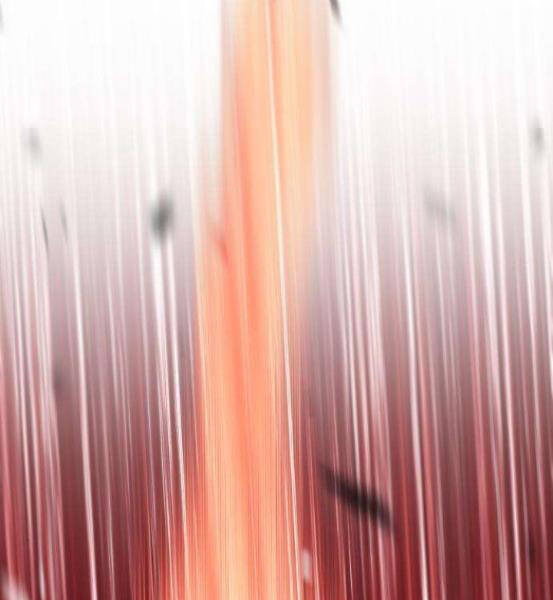 Gậy Gỗ Cấp 99+ - Chương 4.1