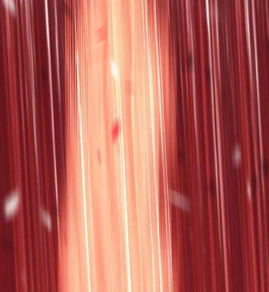 Gậy Gỗ Cấp 99+ - Chương 4.1