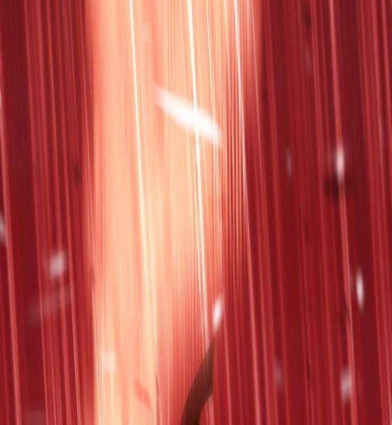 Gậy Gỗ Cấp 99+ - Chương 4.1