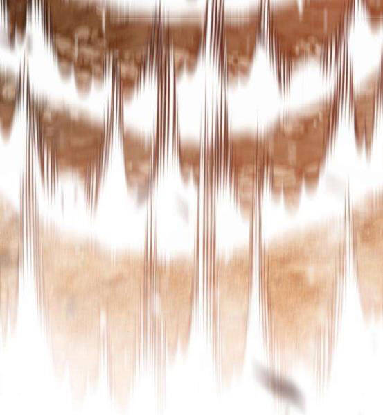 Gậy Gỗ Cấp 99+ - Chương 4.1