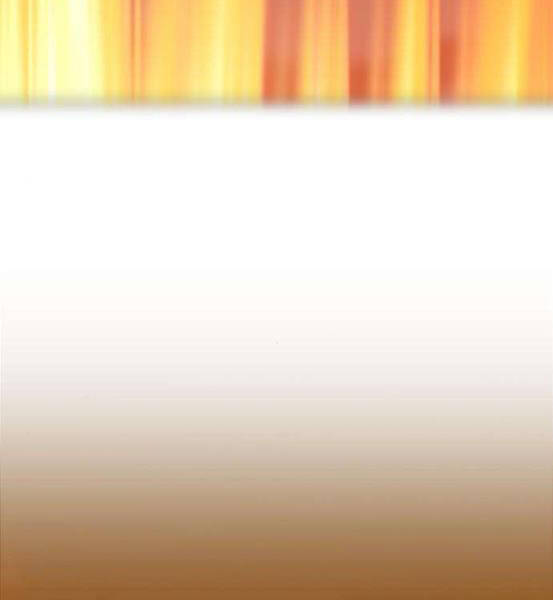 Gậy Gỗ Cấp 99+ - Chương 4.1