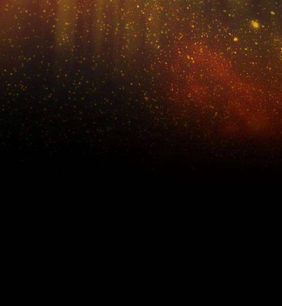 Gậy Gỗ Cấp 99+ - Chương 4.1