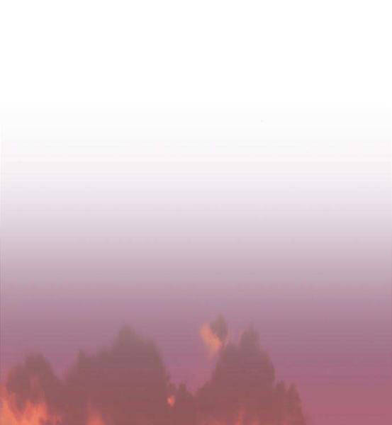 Gậy Gỗ Cấp 99+ - Chương 4