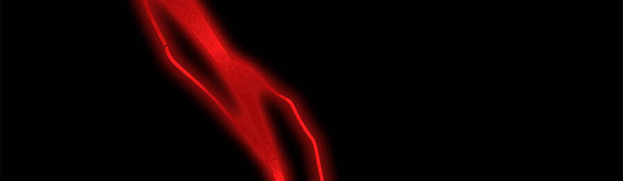 Ma Vương Gian Lận Hệ Thống - Chương 4