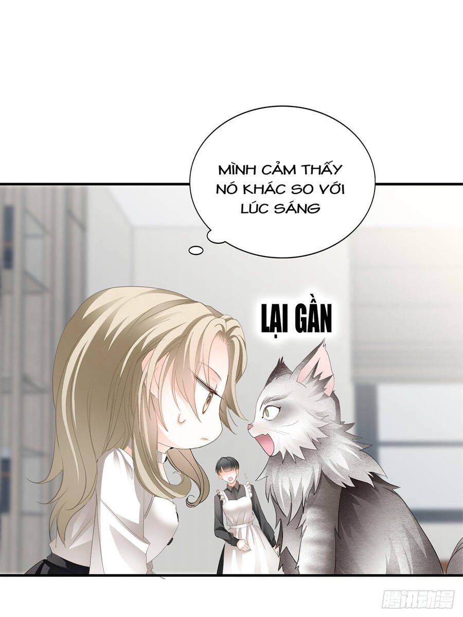 Bạo Quân Ái Nhân - Chương 45