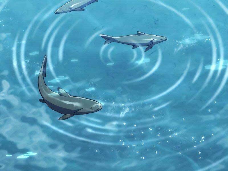 Đồ Long - Chương 11