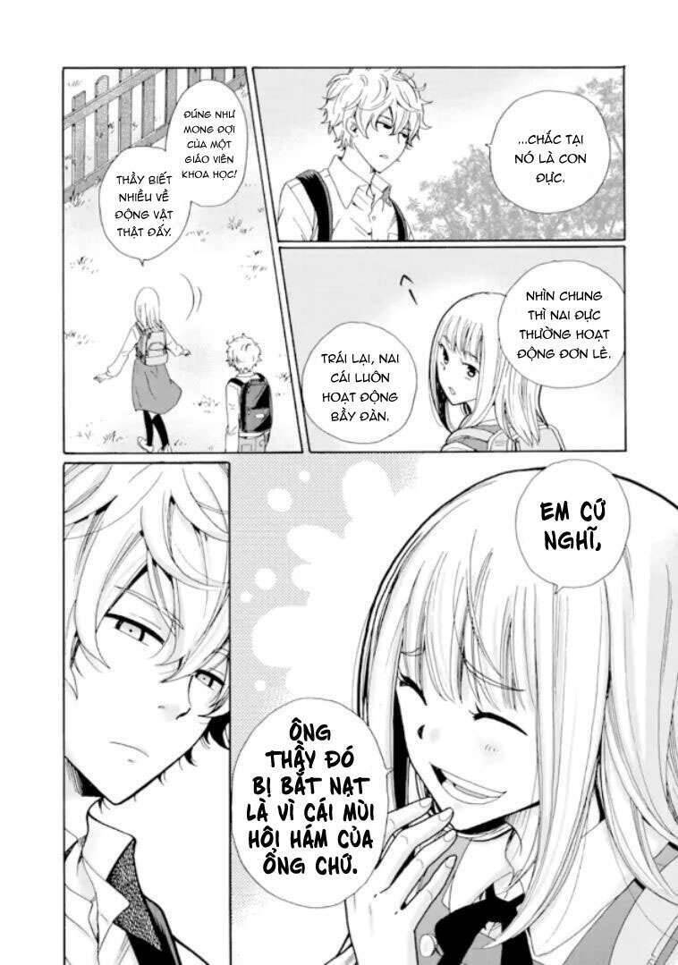 Ijimeru Aitsu Ga Waruinoka, Ijimerareta Boku Ga Waruinoka? - Chương 8