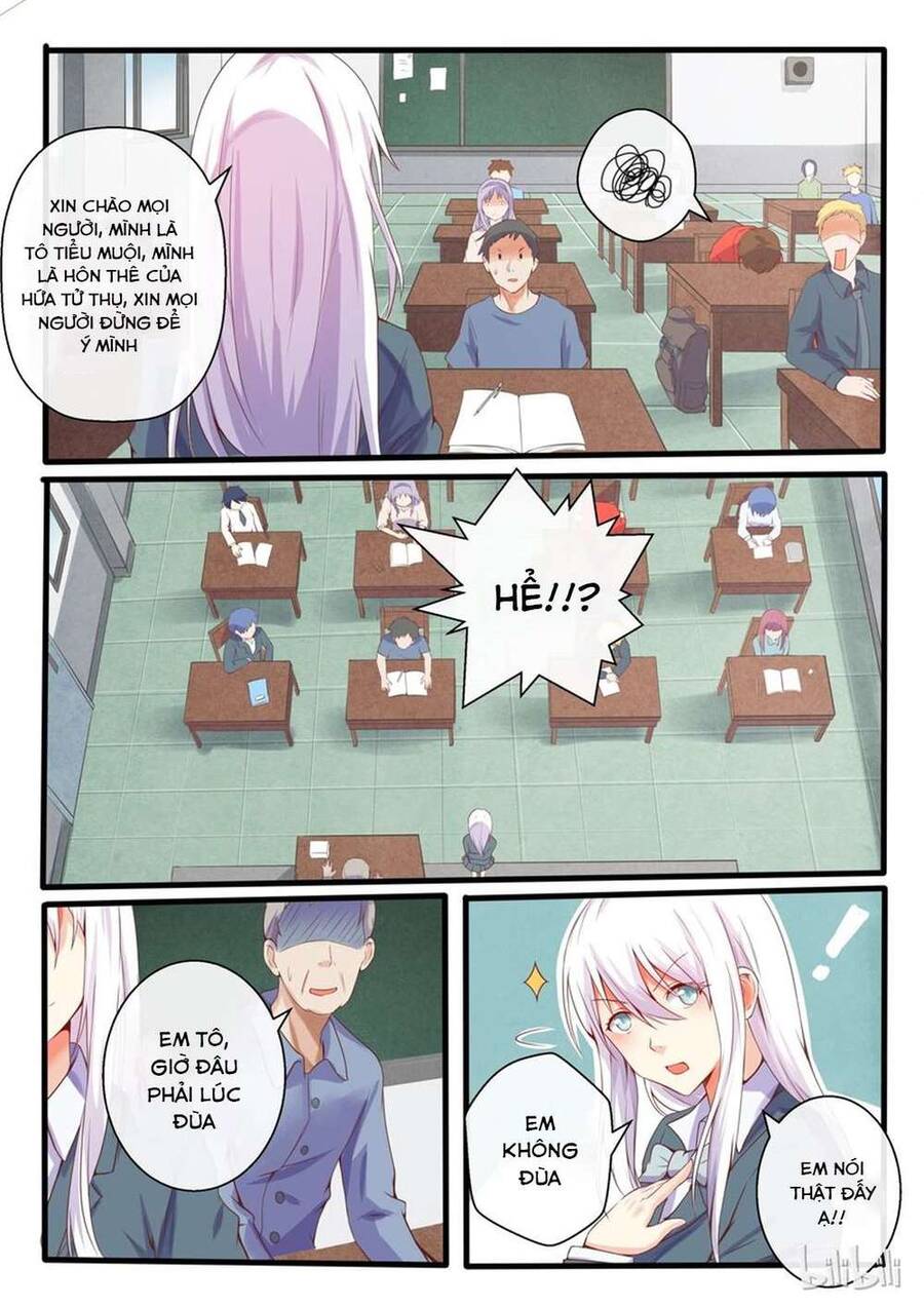 Vợ Tôi Là Đát Kỷ - Chương 5