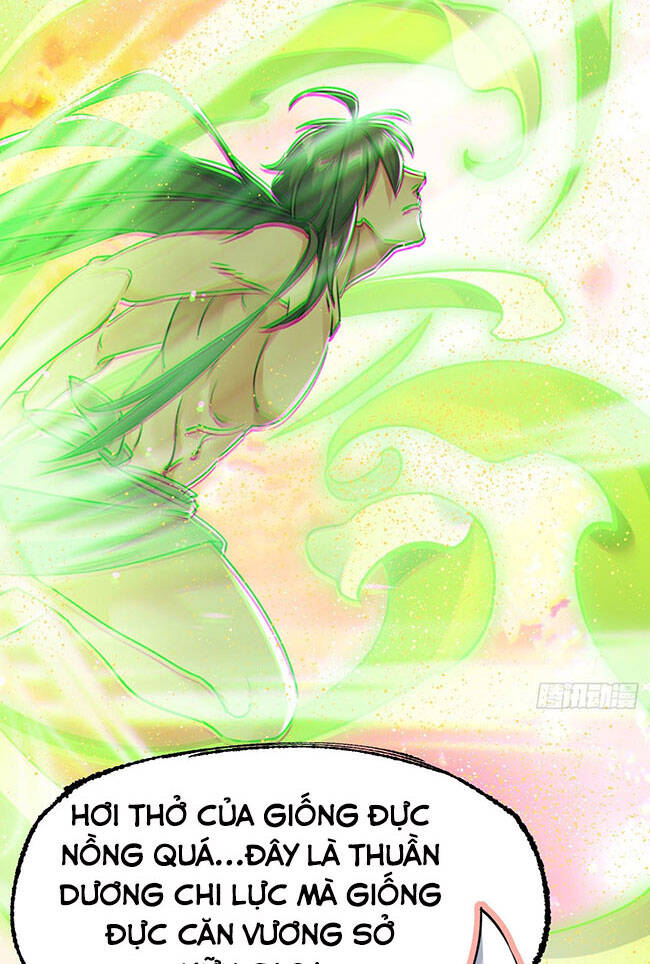 Tu Tiên Giới Duy Nhất Thuần Gia Môn - Chương 6