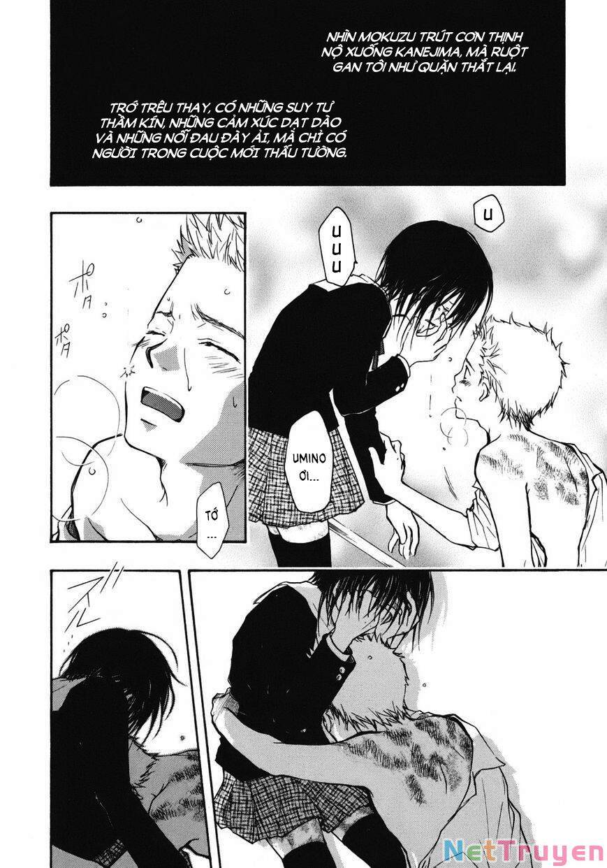 A Lollipop Or A Bullet - Chương 11