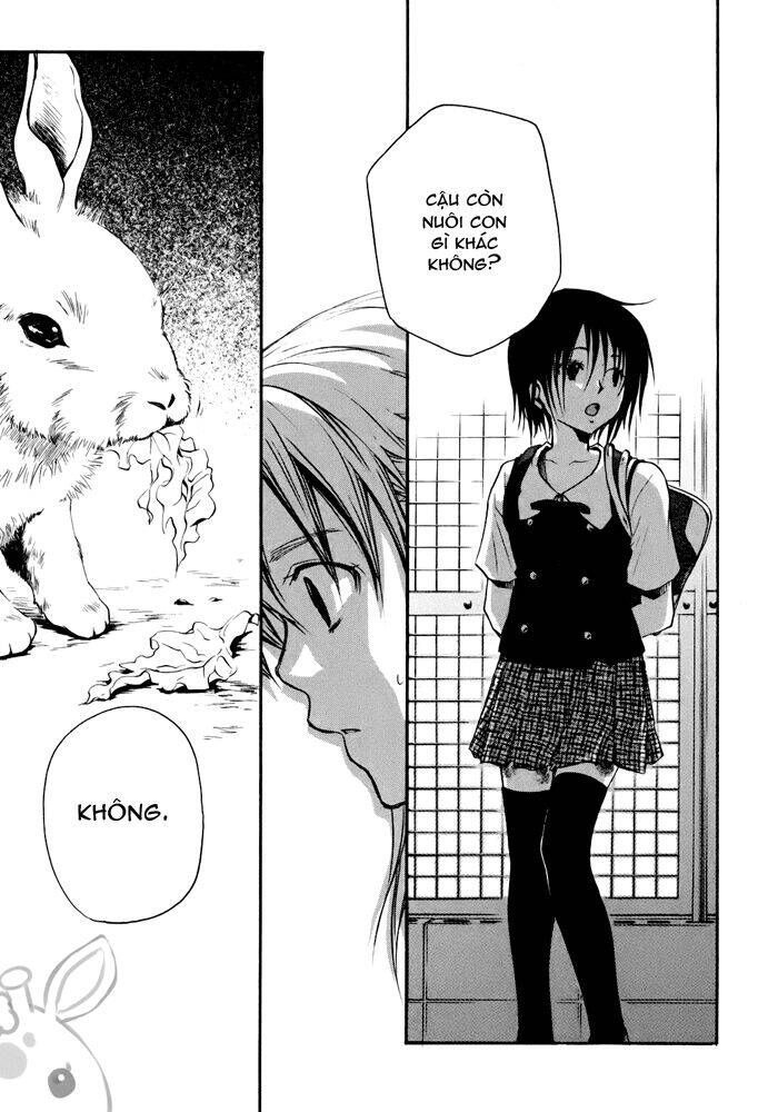 A Lollipop Or A Bullet - Chương 2