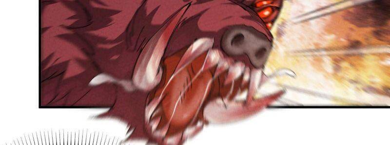 Tối Cường Võ Hồn Hệ Thống - Chương 48