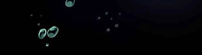 Hoá Thân Thành Cá - Chương 1