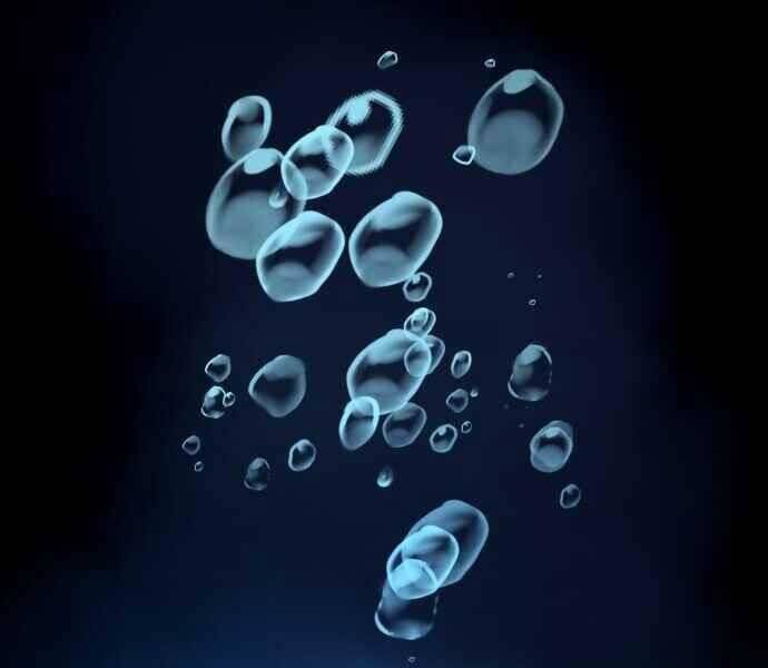 Hoá Thân Thành Cá - Chương 1