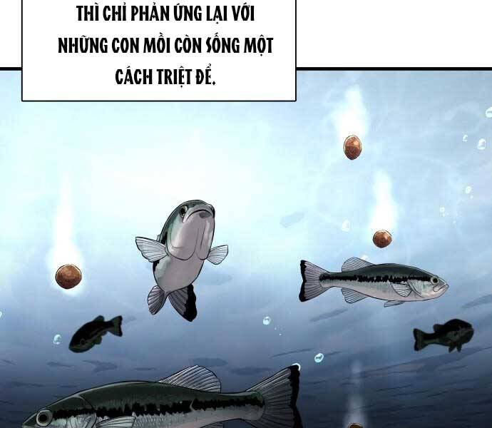 Hoá Thân Thành Cá - Chương 11