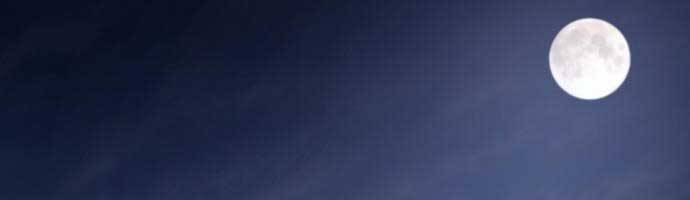 Hoá Thân Thành Cá - Chương 11