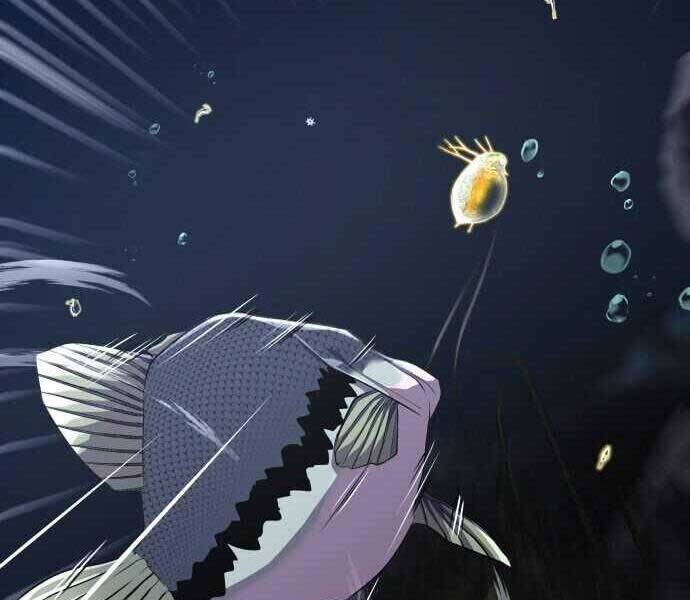 Hoá Thân Thành Cá - Chương 2