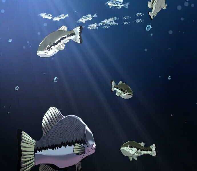 Hoá Thân Thành Cá - Chương 2