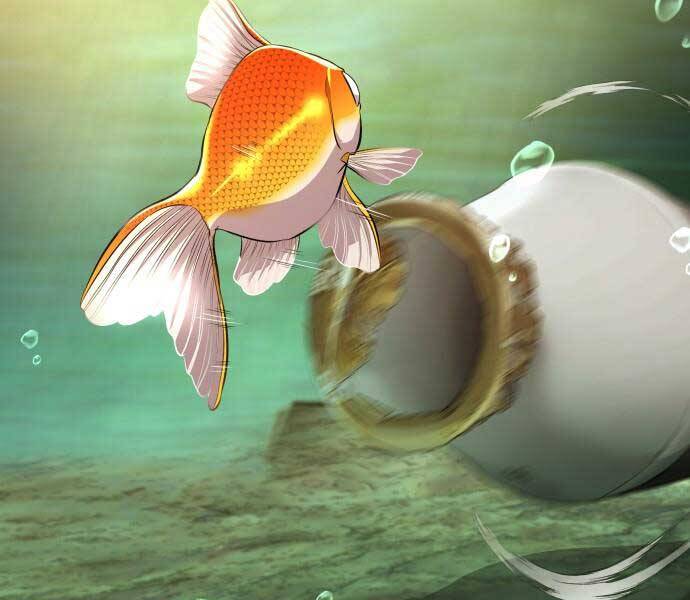 Hoá Thân Thành Cá - Chương 6