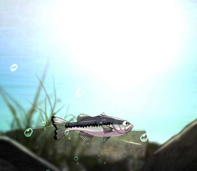 Hoá Thân Thành Cá - Chương 6