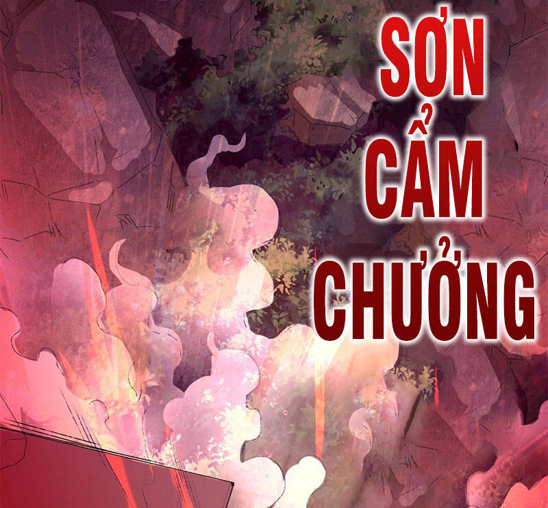 Vô Tận Thôn Phệ - Chương 12