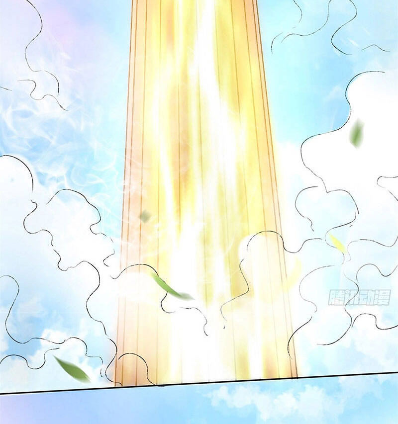 Vô Tận Thôn Phệ - Chương 13