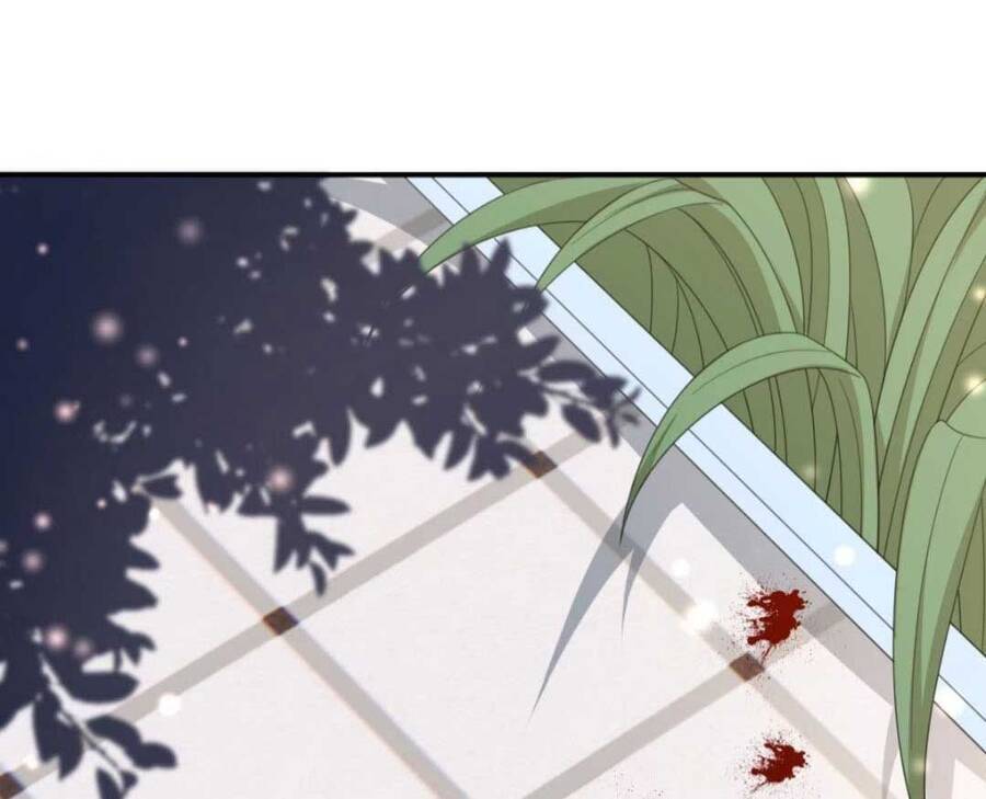 Xuyên Qua Làm Vương Phi Miệng Quạ - Chương 12