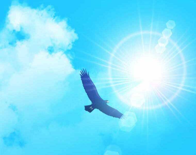 Chế Ngự Kiếm - Chương 16