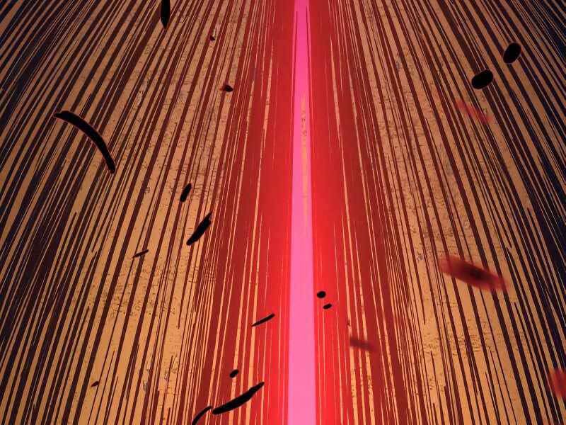 Túy Kiếm Dạ Hành - Chương 11