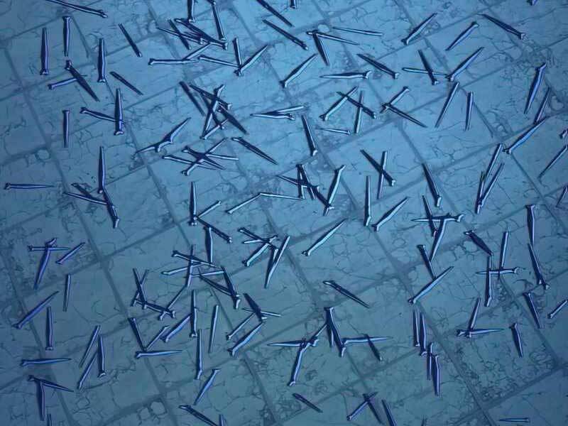 Túy Kiếm Dạ Hành - Chương 13