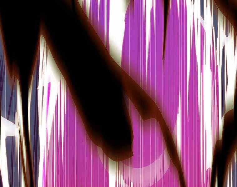 Hậu Duệ Của Hổ - Chương 8