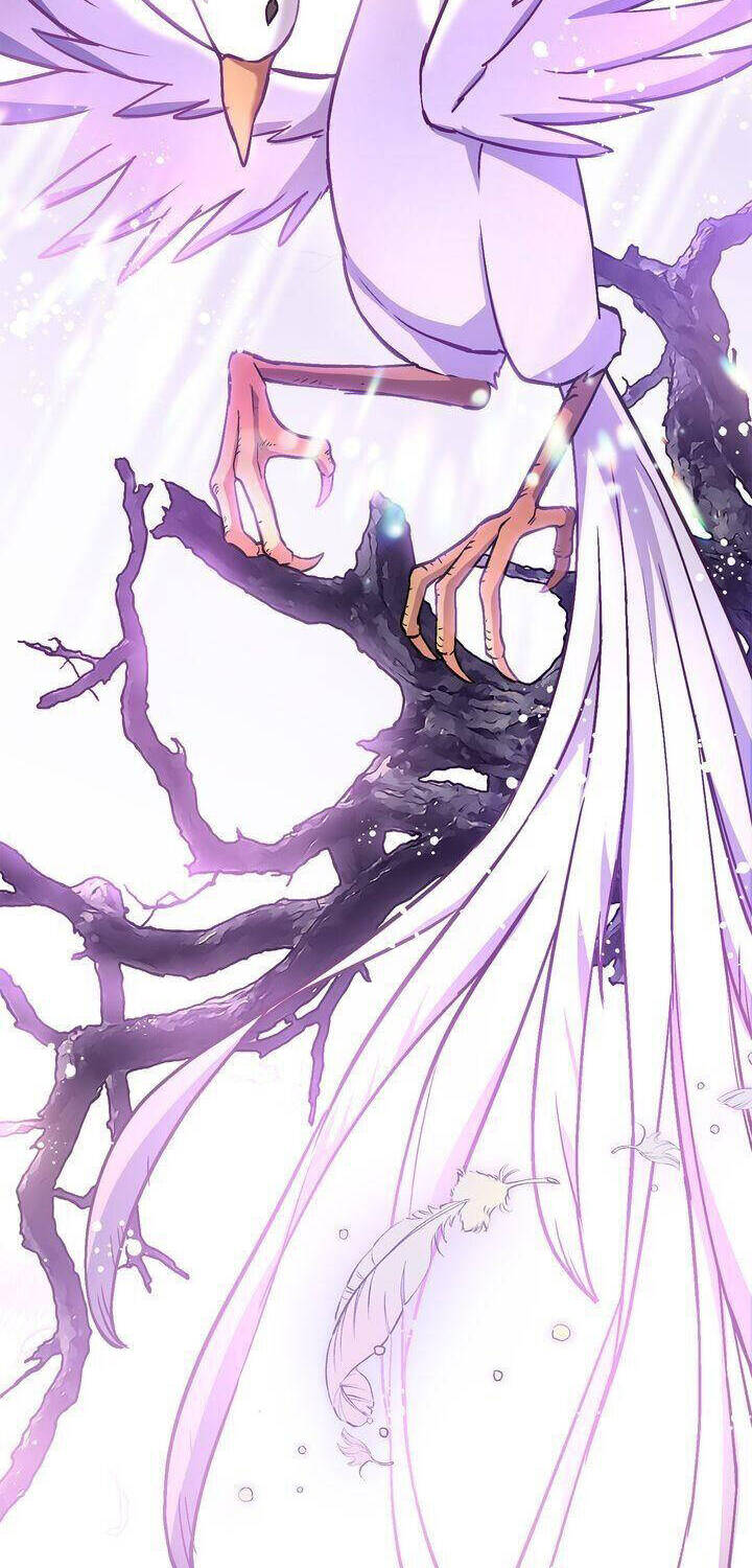 Sự Sống Sót Của Kẻ Chiêu Hồn - Chương 30