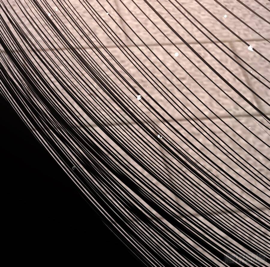 Nghịch Thiên Cải Mệnh - Chương 10