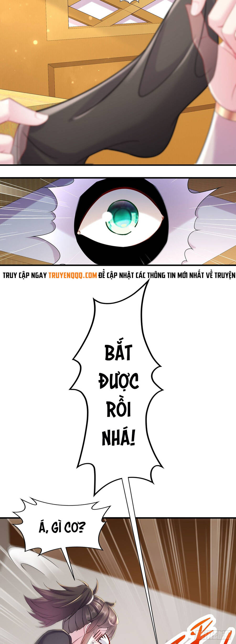 Nghịch Thiên Cải Mệnh - Chương 5