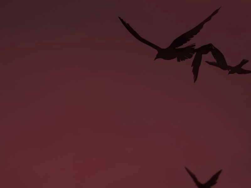 Ta Nhận Được Vật Phẩm Thần Thoại - Chương 11.5