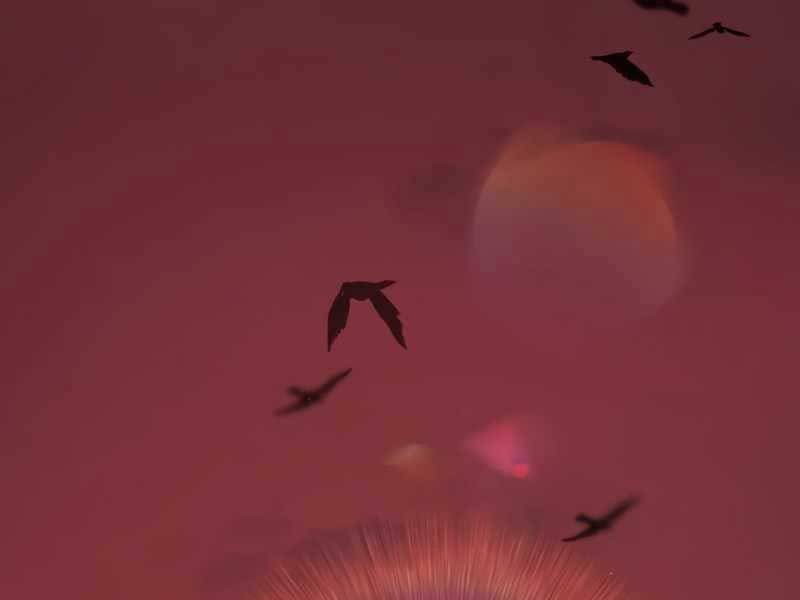 Ta Nhận Được Vật Phẩm Thần Thoại - Chương 11.5