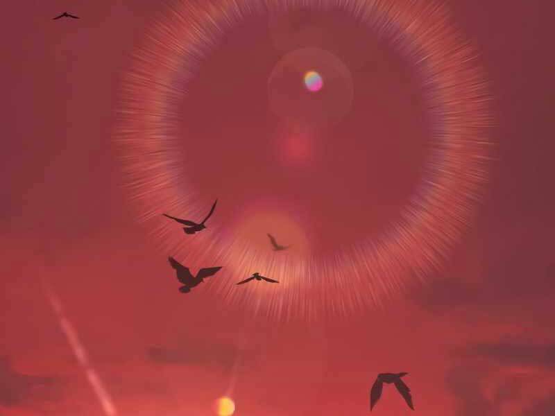 Ta Nhận Được Vật Phẩm Thần Thoại - Chương 11.5