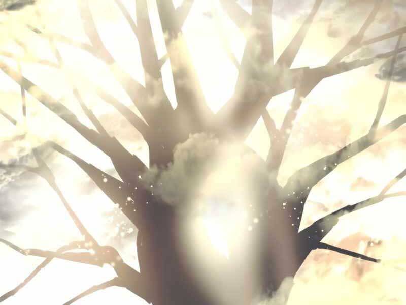 Ta Nhận Được Vật Phẩm Thần Thoại - Chương 2