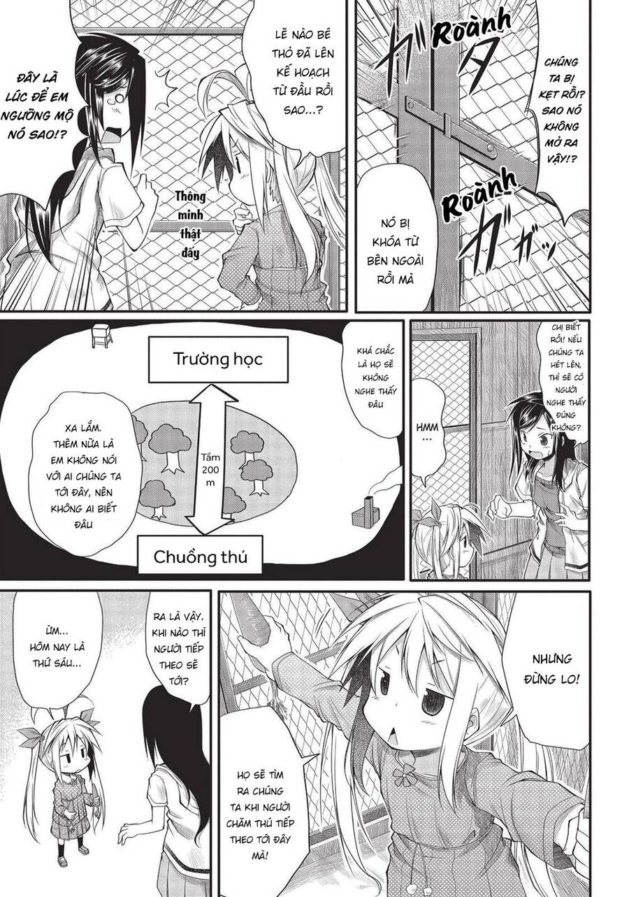 Cuộc Sống Thường Ngày - Chương 4