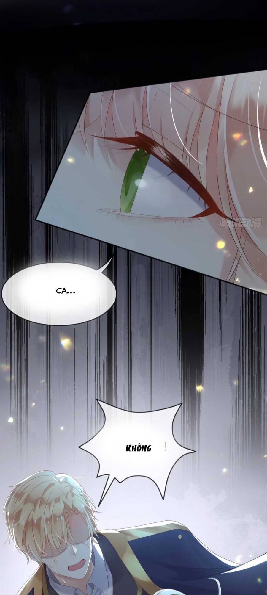 Ba Ba Đại Nhân ! Con Không Phải Là Nữ Phụ Ác Độc ! - Chương 4