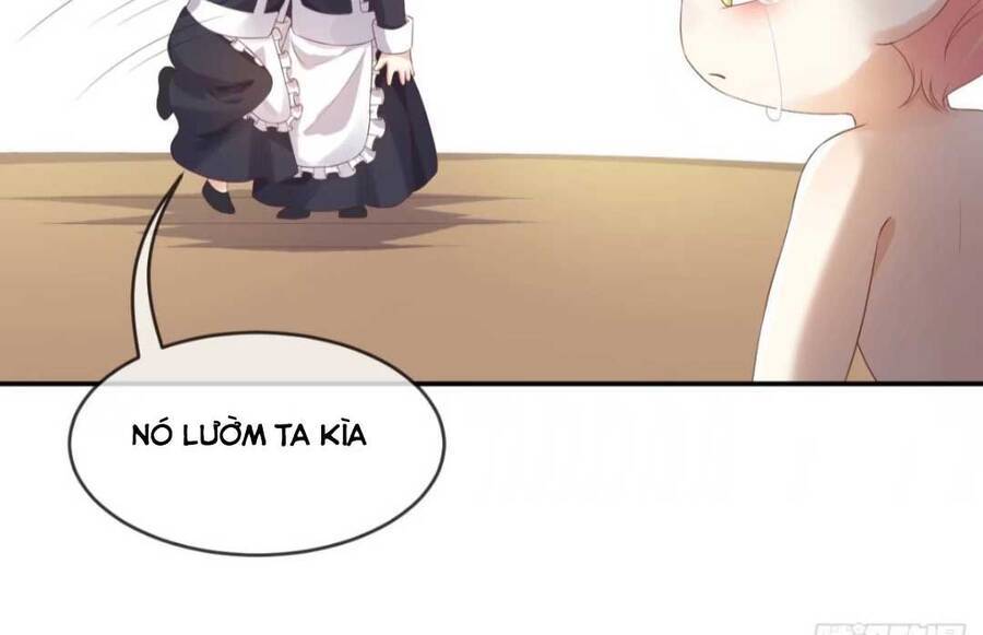 Ba Ba Đại Nhân ! Con Không Phải Là Nữ Phụ Ác Độc ! - Chương 4