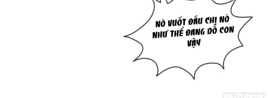 Ba Ba Đại Nhân ! Con Không Phải Là Nữ Phụ Ác Độc ! - Chương 6