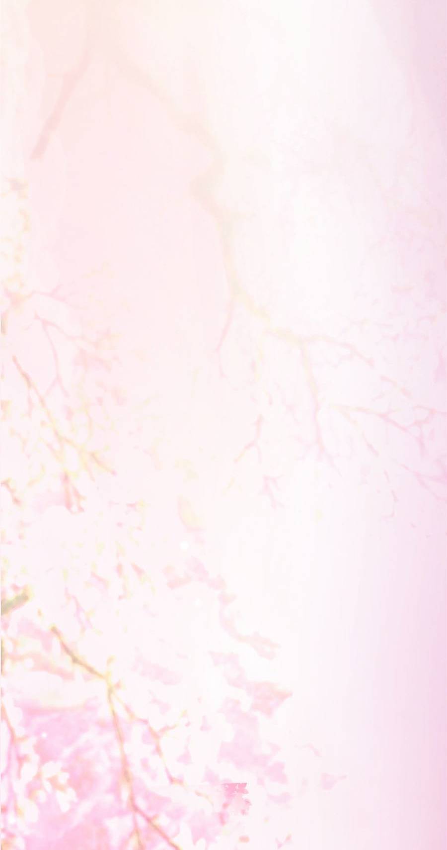 Lược Thiên Ký - Chương 13