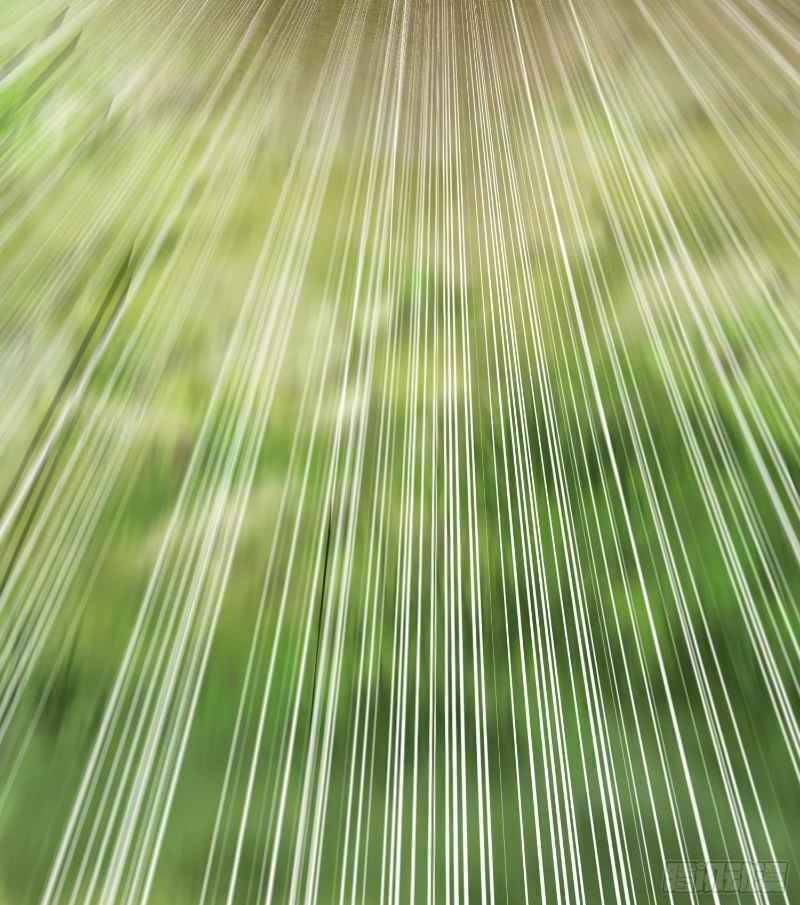 Con Của Ta Là Đại Lão - Chương 16