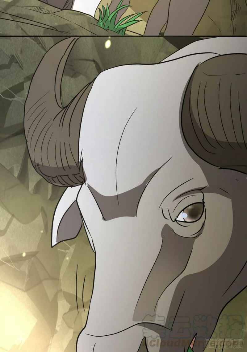 Con Của Ta Là Đại Lão - Chương 36