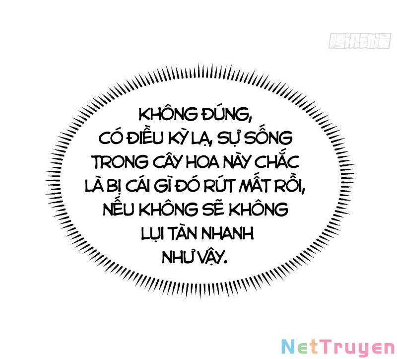 Con Của Ta Là Đại Lão - Chương 48