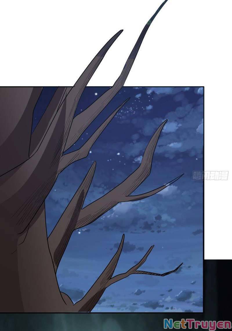 Con Của Ta Là Đại Lão - Chương 51