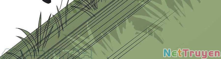 Con Của Ta Là Đại Lão - Chương 52