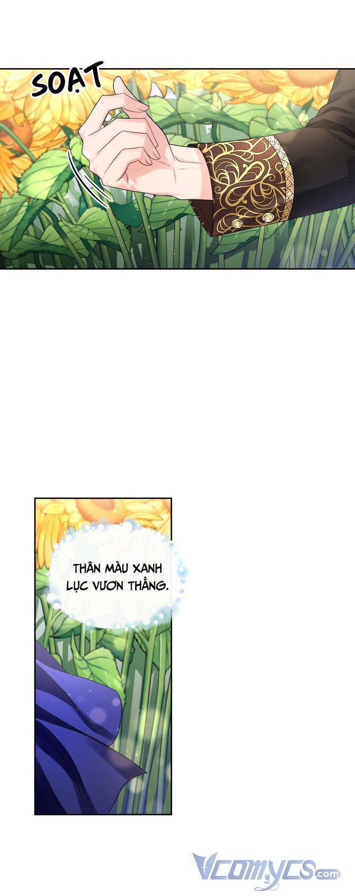 Công Nương Su - Chương 48