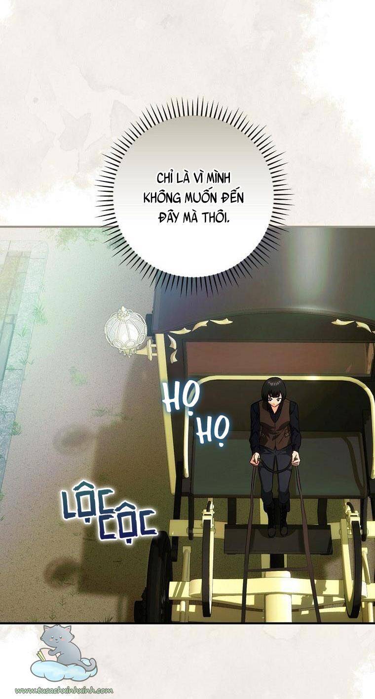 Đứa Bé Đó Không Phải Con Anh - Chương 11